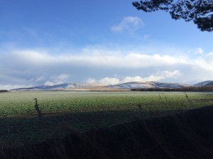 Photo 10-01-2015 11 24 24