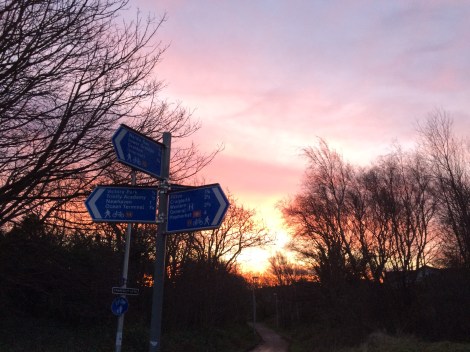 A long ride to work via a different path